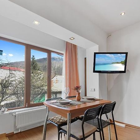Ferienwohnung Cozy Montain Studio Sinaia Exterior foto